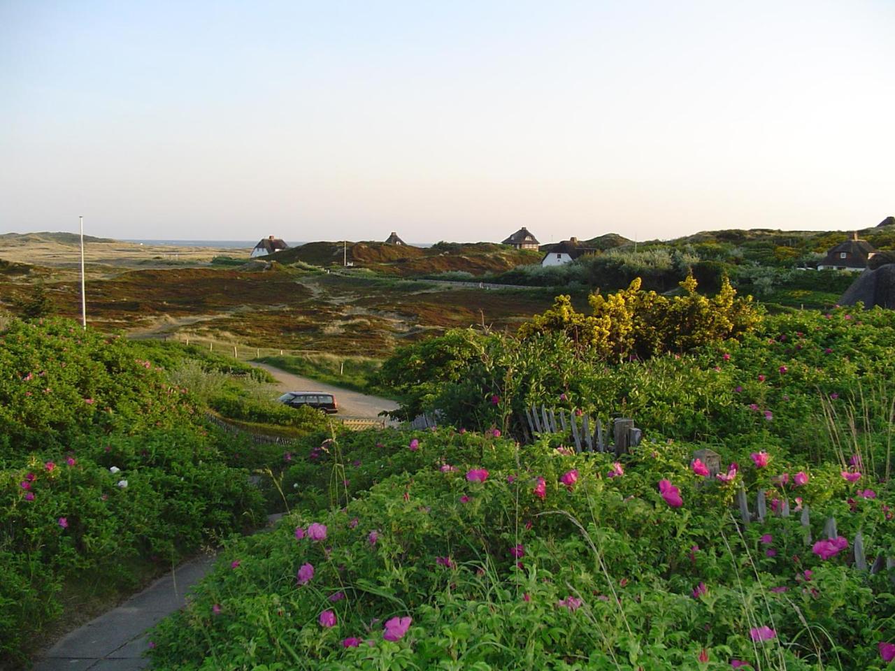 Giebelhaus Frida - Sylt, Westerland Dış mekan fotoğraf